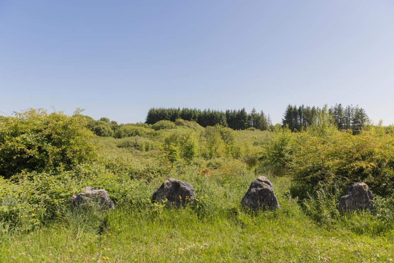 بيت شباب The Common Knowledge Centre Kilfenora المظهر الخارجي الصورة